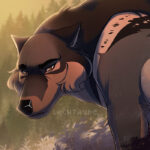 Baby, a dark wolf with brown and cream-colored accents, looks a little beat up and dejected.